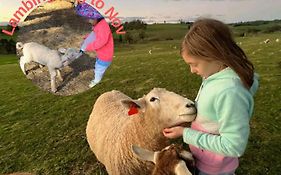 Jillypark Farmstay Experience Discover Authentic Farm Life Complimentary Breakfast Included